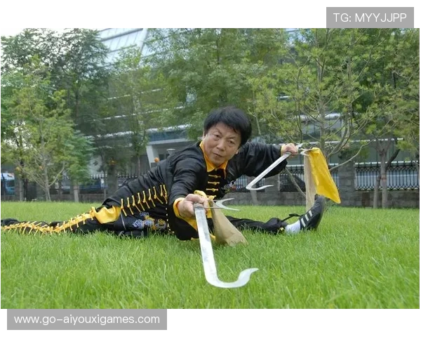 武术大赛黑马一招制胜，传统武学惊艳国际舞台