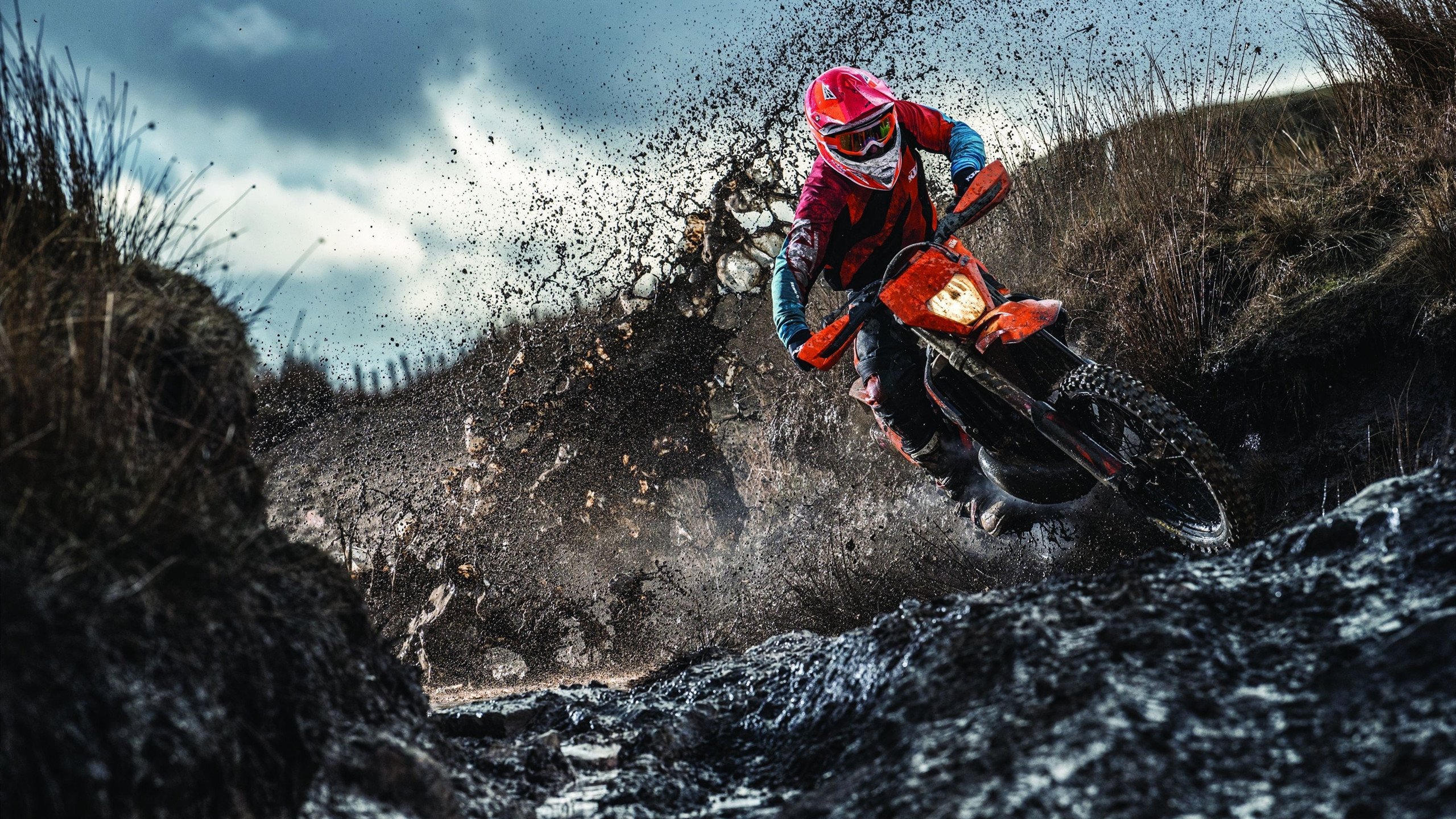 爱游戏在线登录入口-男子自由泳决赛表现抢眼，2021男子自由泳决赛